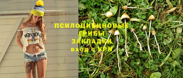 ГАЛЛЮЦИНОГЕННЫЕ ГРИБЫ Алексин