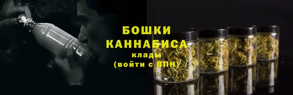2c-b Алзамай