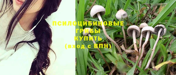 ГАЛЛЮЦИНОГЕННЫЕ ГРИБЫ Алексин