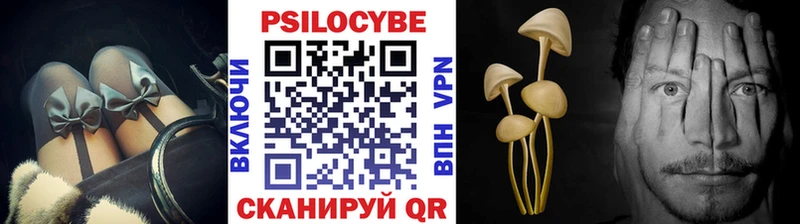 Галлюциногенные грибы Cubensis Игра